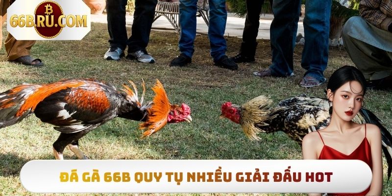 Chuyên mục quy tụ đủ các giải đấu chiến kê lớn nhỏ